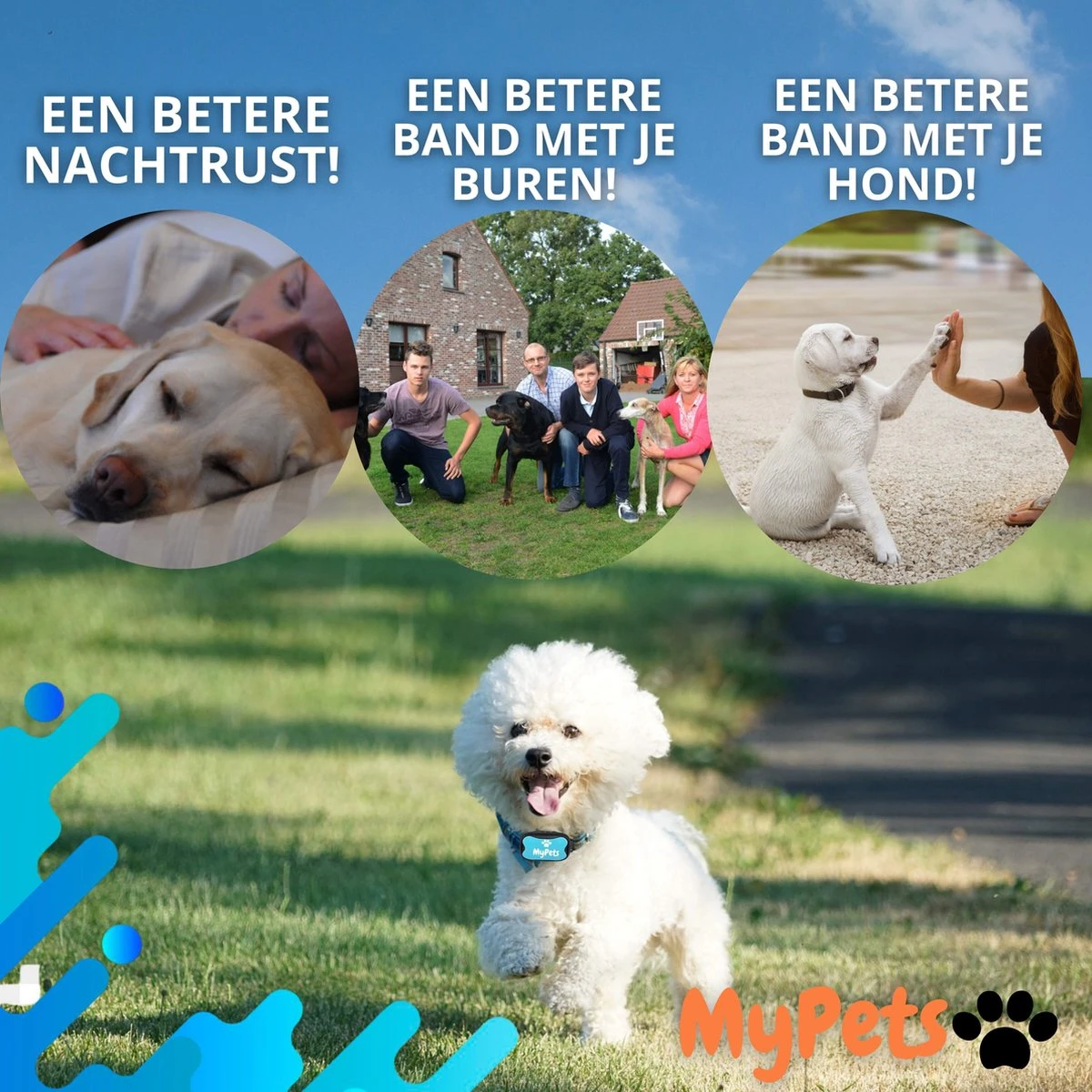 MyPets™ Anti-blafband - Anti Blaf Apparaat - Voor Kleine Honden En Grote Honden - Diervriendelijk - Opvoedingshalsband - Trainingshalsband - 2022/2023 Versie - Inclusief Batterijen 12 MyPets™ Anti-blafband - Anti Blaf Apparaat - Voor Kleine Honden En Grote Honden - Diervriendelijk - Opvoedingshalsband - Trainingshalsband - 2022/2023 Versie - Inclusief Batterijen - Afbeelding 10