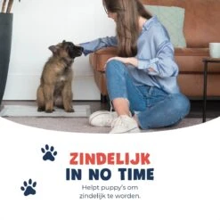 JC Pets Premium Puppy Training Pads - Hondentoilet - Zindelijkheidstraining Hond - 100 Stuks - 60 X 45 Cm -Honden Benodigdheden Verkoop 1200x1200 778