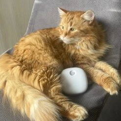 Pettadore Air Insight - Kattenbak Geurverdrijver & Teller - Actieve Zuurstof En Ionen - Oplaadbaar - Met App -Honden Benodigdheden Verkoop 1200x1200 794