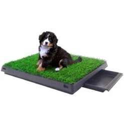 Merkloos Hondentoilet Kunstgras Met Bak - Indoor Dierentoilet - Uitneembare Opvangbak - Puppy Training Pets - Outdoor/Balkon/Tuin/Indoor Toilet - 50x64 Cm -Honden Benodigdheden Verkoop 1200x1200 823
