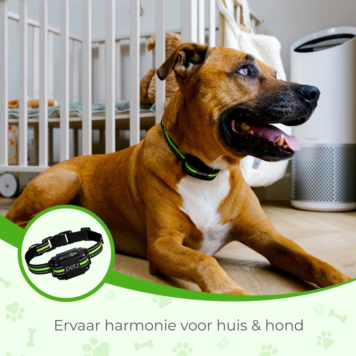 Petz - Anti Blafband - Anti Blafband Voor Kleine En Grote Honden - 5-55 KG - Vibratie En Audio - Diervriendelijk - GEEN Schokken - Opvoedingshalsband Zonder Schok En Diervriendelijk - Waterdicht - Oplaadbaar 6 Petz - Anti Blafband - Anti Blafband Voor Kleine En Grote Honden - 5-55 KG - Vibratie En Audio - Diervriendelijk - GEEN Schokken - Opvoedingshalsband Zonder Schok En Diervriendelijk - Waterdicht - Oplaadbaar - Afbeelding 4