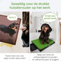 AWEMOZ Hondentoilet Kunstgras - Met 2 Matten En Opvangbak - 64x52x7,5cm - Puppy Pads - Zindelijkheidstraining Hond - Training Pads - Indoor / Outdoor Honden Toilet -Honden Benodigdheden Verkoop 1200x1200 835