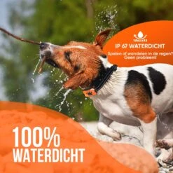 Strex Anti Blafband Voor Honden - 3-60KG - Oplaadbaar - Zonder Schok - Vibratie En Audio - Diervriendelijk - Anti Blaf Band - Anti Blaf Apparaat - Opvoedingshalsband Alle Honden -Honden Benodigdheden Verkoop 1200x1200 862