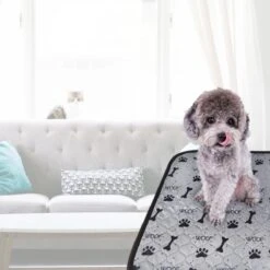 Jooba Puppy Training Pads - Wasbare Puppy Pads 2 Stuks - Hondentoilet - 70x50cm - Puppy -Honden Benodigdheden Verkoop 1200x1200 870