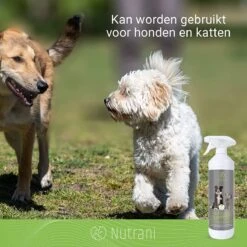 Nutrani Geurverwijderaar, 750 Ml, Natuurlijke Enzymreiniger Als Gebruiksklare Spray Met Biologische Werking, Verwijdert Geurtjes, Urine, Poep En Vlekken Van Honden En Katten -Honden Benodigdheden Verkoop 1200x1200 876