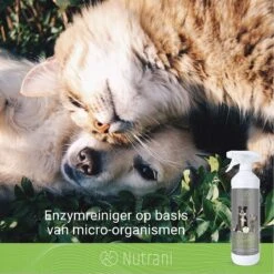Nutrani Geurverwijderaar, 750 Ml, Natuurlijke Enzymreiniger Als Gebruiksklare Spray Met Biologische Werking, Verwijdert Geurtjes, Urine, Poep En Vlekken Van Honden En Katten -Honden Benodigdheden Verkoop 1200x1200 877
