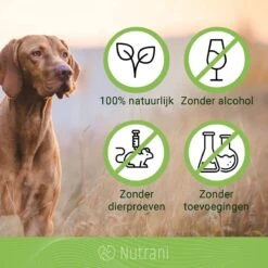 Nutrani Geurverwijderaar, 750 Ml, Natuurlijke Enzymreiniger Als Gebruiksklare Spray Met Biologische Werking, Verwijdert Geurtjes, Urine, Poep En Vlekken Van Honden En Katten -Honden Benodigdheden Verkoop 1200x1200 878