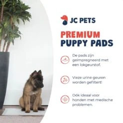 JC Pets Premium Puppy Training Pads - Hondentoilet - Zindelijkheidstraining Hond - 50 Stuks - 60 X 45 Cm -Honden Benodigdheden Verkoop 1200x1200 897