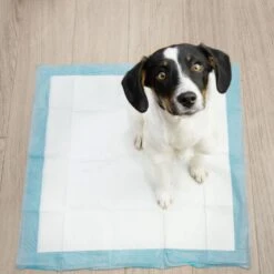 Springos Puppy Training Pads| Plasmatjes Hond | Zindelijkheidstraining | 10 Stuks | 35 X 45 Cm -Honden Benodigdheden Verkoop 1200x1200 902