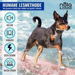 Nola & Coco® Oplaadbare Anti Blafband - 4 Kleuren - Zonder Schok - Waterdichte Diervriendelijke Blaf Halsband - Opvoedingshalsband - Voor Grote En Kleine Honden - Lichte Vibratie En Geluid - 3 Tot 60kg -Honden Benodigdheden Verkoop 1200x1200 928