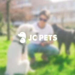 Anti Blafband - Blafband Voor Honden - Anti Blaf Apparaat - Blafband - Diervriendelijk & Zonder Schok -Honden Benodigdheden Verkoop 1200x1200 936