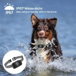 Salvano Anti Blafband - Blafband Voor Honden - Opvoedingshalsbanden - Voor Kleine En Grote Honden - Anti Blafband Zonder Schok- Oplaadbaar - Anti Blaf Apparaat - Blafband - Diervriendelijk -Honden Benodigdheden Verkoop 1200x1200 947