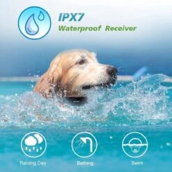 Anti Blafband EN Trainingshalsband In 1 - UNIEK Systeem - 500m Bereik - Trainingsband Opvoedband Waterdicht - Anti Blaf Apparaat - Teletac - Oplaadbaar - Volautomatisch - Grote & Kleine Hond 10 Anti Blafband EN Trainingshalsband In 1 - UNIEK Systeem - 500m Bereik - Trainingsband Opvoedband Waterdicht - Anti Blaf Apparaat - Teletac - Oplaadbaar - Volautomatisch - Grote & Kleine Hond -Honden Benodigdheden Verkoop 1200x1200 953