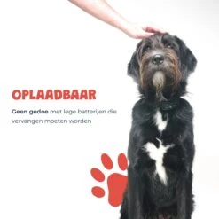 Anti Blafband - Blafband Voor Honden - Oplaadbaar - Anti Blaf Apparaat - Blafband - Diervriendelijk 18 Anti Blafband - Blafband Voor Honden - Oplaadbaar - Anti Blaf Apparaat - Blafband - Diervriendelijk -Honden Benodigdheden Verkoop 1200x1200 959
