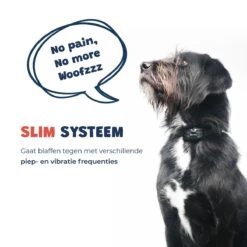 Anti Blafband - Blafband Voor Honden - Oplaadbaar - Anti Blaf Apparaat - Blafband - Diervriendelijk 21 Anti Blafband - Blafband Voor Honden - Oplaadbaar - Anti Blaf Apparaat - Blafband - Diervriendelijk -Honden Benodigdheden Verkoop 1200x1200 962