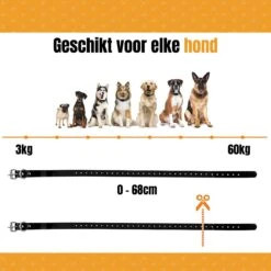 W&Z® Anti Blafband Inclusief Afstandsbediening- 3-60KG - Diervriendelijk - Zonder Schok - Vibratie/Audio/Licht - Anti Blaf Band - Water Bestendig -Honden Benodigdheden Verkoop 1200x1200 974