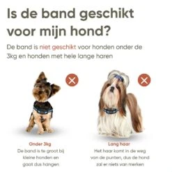 Premium Anti Blafband Apparaat Om Je Hond Snel En Effectief Te Laten Stoppen Met Blaffen - Diervriendelijke Opvoedingshalsband Zonder Schok - Trainingshalsband Voor Grote En Kleine Honden - Anti Blaf Apparaat - Correctie Halsband 13 Premium Anti Blafband Apparaat Om Je Hond Snel En Effectief Te Laten Stoppen Met Blaffen - Diervriendelijke Opvoedingshalsband Zonder Schok - Trainingshalsband Voor Grote En Kleine Honden - Anti Blaf Apparaat - Correctie Halsband -Honden Benodigdheden Verkoop 1200x1200 981
