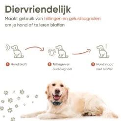 Premium Anti Blafband Apparaat Om Je Hond Snel En Effectief Te Laten Stoppen Met Blaffen - Diervriendelijke Opvoedingshalsband Zonder Schok - Trainingshalsband Voor Grote En Kleine Honden - Anti Blaf Apparaat - Correctie Halsband 14 Premium Anti Blafband Apparaat Om Je Hond Snel En Effectief Te Laten Stoppen Met Blaffen - Diervriendelijke Opvoedingshalsband Zonder Schok - Trainingshalsband Voor Grote En Kleine Honden - Anti Blaf Apparaat - Correctie Halsband -Honden Benodigdheden Verkoop 1200x1200 982