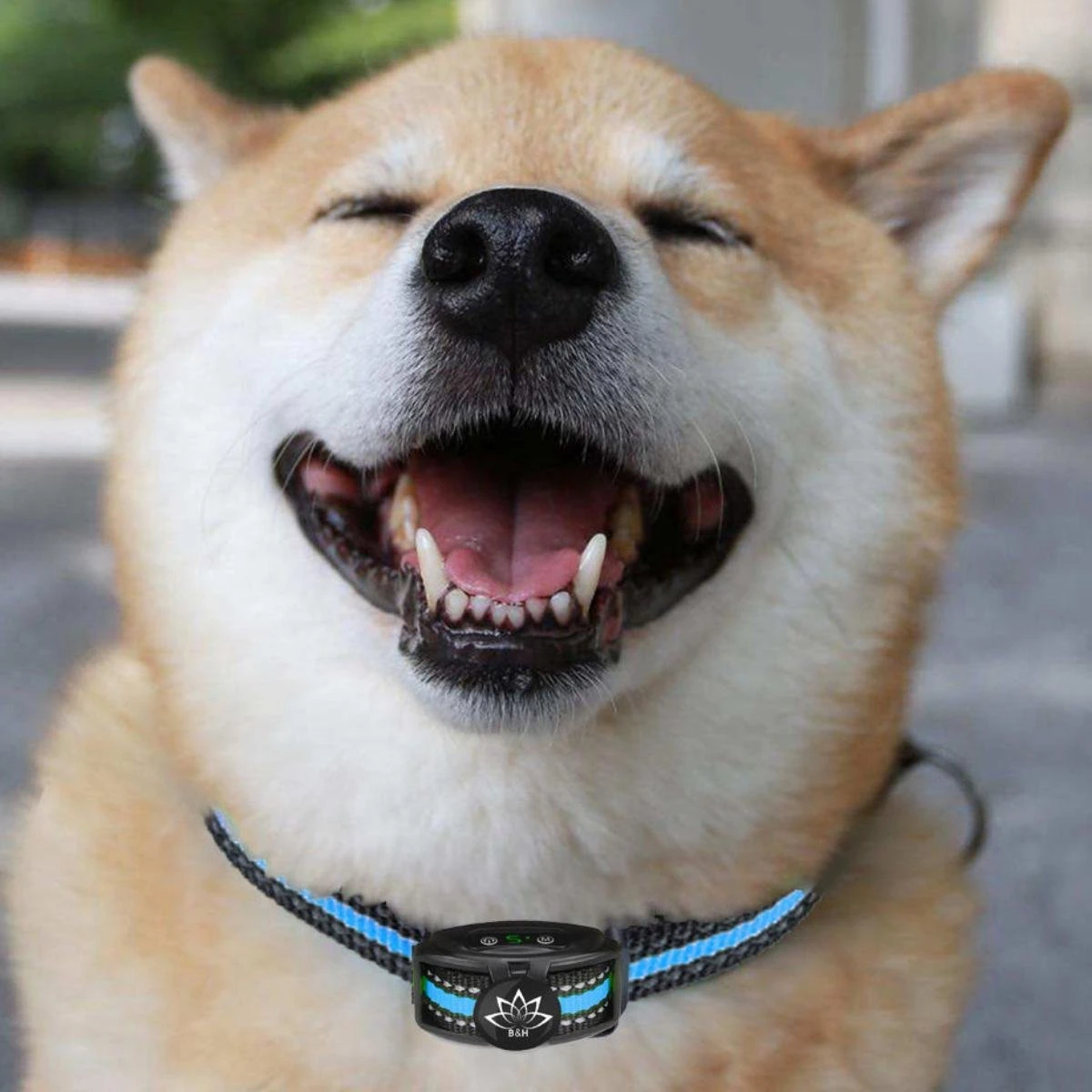 Premium Anti Blafband Apparaat Om Je Hond Snel En Effectief Te Laten Stoppen Met Blaffen - Diervriendelijke Opvoedingshalsband Zonder Schok - Trainingshalsband Voor Grote En Kleine Honden - Anti Blaf Apparaat - Correctie Halsband 11 Premium Anti Blafband Apparaat Om Je Hond Snel En Effectief Te Laten Stoppen Met Blaffen - Diervriendelijke Opvoedingshalsband Zonder Schok - Trainingshalsband Voor Grote En Kleine Honden - Anti Blaf Apparaat - Correctie Halsband - Afbeelding 9