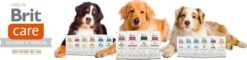 Brit Care Adult Small Breed Lamb & Rice 7,5 Kg - Hond 9 Brit Care Adult Small Breed Lamb & Rice 7,5 Kg - Hond -Honden Benodigdheden Verkoop 1200x290