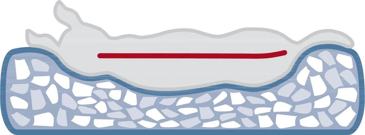 TRIXIE | Trixie Hondenmand Huis Noah Vitaal Schuimrubber Lichtgrijs 6 TRIXIE | Trixie Hondenmand Huis Noah Vitaal Schuimrubber Lichtgrijs - Afbeelding 4