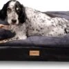 PrimePlus Hondenkussen XL Antraciet - 120x80x10 CM - Zacht En Luxe Hondenmand - Hondenbed - Hondenmat - Orthopedisch Hondenkussens 1 PrimePlus Hondenkussen XL Antraciet - 120x80x10 CM - Zacht En Luxe Hondenmand - Hondenbed - Hondenmat - Orthopedisch Hondenkussens -Honden Benodigdheden Verkoop 1200x454 1