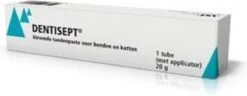 Dentisept Tandpasta - 20 G -Honden Benodigdheden Verkoop 1200x466