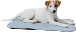 Trixie Junior Ligmat Fresh Lichtblauw - 60X50 CM -Honden Benodigdheden Verkoop 1200x512 1