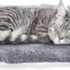 Nobleza Benchkussen - Dierenkussen - Hondenkussen - Kattenkussen - Benchmat - Dierenmat - Hondenmat - Kattenmat - Grijs - Maat S -Honden Benodigdheden Verkoop 1200x531