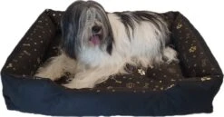 Beste Prijs - Hondenmand Met 2 Kussentjes - 100 Cm X 70 Cm - Dierenmand - Hondenbed - Waterproof - Anti Allergisch -Honden Benodigdheden Verkoop 1200x626 8