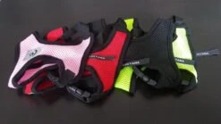 Luxyana Pets Hondentuig - M - 32-55cm - Harnas Voor Hond Of Grote Kat - Easy Step-in Hondenharnas - Inclusief Bijpassend Riempje - Zwart -Honden Benodigdheden Verkoop 1200x674 8