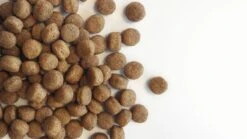 Carocroc Puppy Large Breed 3 KG -Honden Benodigdheden Verkoop 1200x675 1