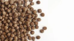 Carocroc Puppy 15 KG -Honden Benodigdheden Verkoop 1200x675 2