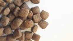 Carocroc Energy 25/16 - Hondenvoer - 15 Kg 14 Carocroc Energy 25/16 - Hondenvoer - 15 Kg -Honden Benodigdheden Verkoop 1200x675