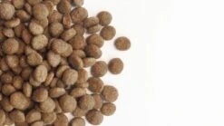 Carocroc Original 23/12 Hondenvoer - 3 Kg -Honden Benodigdheden Verkoop 1200x675 3