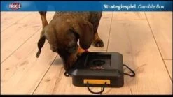 Trixie Dogtoy Dog Activity Strategy Game Gamble Box - Piepend Speelgoed - 15cm X 15cm X 9cm - Zwart/rood/oranje -Honden Benodigdheden Verkoop 1200x675 8