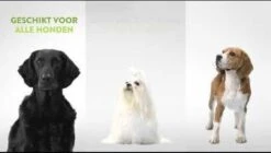 Whimzees Tandenborstel Hondensnack - 6,5 Cm - 48 Stuks -Honden Benodigdheden Verkoop 1200x682