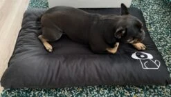 Hondenkussen XXXL -Donkergrijs - 85 X 120 X 14 17 Hondenkussen XXXL -Donkergrijs - 85 X 120 X 14 -Honden Benodigdheden Verkoop 1200x685 1