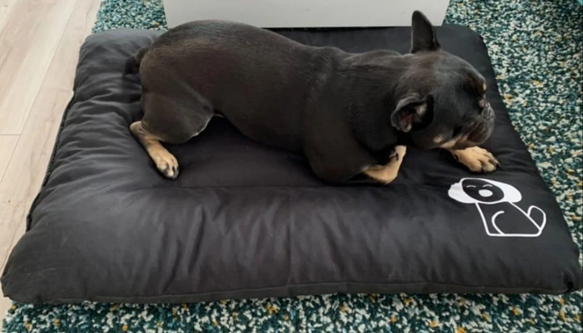 Hondenkussen XXXL -Donkergrijs - 85 X 120 X 14 10 Hondenkussen XXXL -Donkergrijs - 85 X 120 X 14 - Afbeelding 8