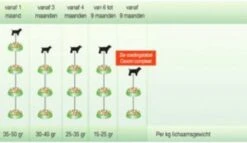 Cavom Compleet Pup/Junior - 20 KG 10 Cavom Compleet Pup/Junior - 20 KG -Honden Benodigdheden Verkoop 1200x693