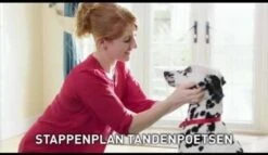 Beaphar Tandpasta - 100 Gr -Honden Benodigdheden Verkoop 1200x697 4