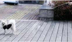 Hondenriem-Looplijn-Zwart/Grijs-8 Meter Oprol-Hond Lijn-Automatisch Rollijn -Honden Benodigdheden Verkoop 1200x703