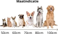 Behave Donut Hondenmand - Hondenkussen - Hondenbed - Kattenmand - Fluffy - Donut - 50cm - Beige -Honden Benodigdheden Verkoop 1200x706 5