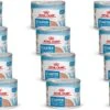 Royal Canin Starter Mousse Mother & Babydog - Puppy-Hondenvoer - 12 X 195 G 1 Royal Canin Starter Mousse Mother & Babydog - Puppy-Hondenvoer - 12 X 195 G -Honden Benodigdheden Verkoop 1200x712