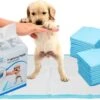 Mr. Poop Toodeloo -Puppy Pads - Training Pads - Maat S: 45 X 33cm - 30 Stuks -Honden Benodigdheden Verkoop 1200x717 3