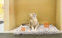 Merkloos Zelfverwarmende Dierendeken Zonder Stroom Thermo Deken Hond Kat Inclusief Adreslabel 70 X 47 Cm -Honden Benodigdheden Verkoop 1200x730 8