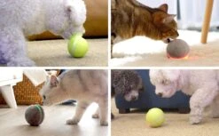 Cheerble Wicked Ball W1| Geel| Zelf Rollende Bal Voor Honden | 3 Automatische Speelmodi | Interactief En Intelligentie Hondenspeelgoed | Hondenspeeltje| USB Oplaadbaar 16 Cheerble Wicked Ball W1| Geel| Zelf Rollende Bal Voor Honden | 3 Automatische Speelmodi | Interactief En Intelligentie Hondenspeelgoed | Hondenspeeltje| USB Oplaadbaar -Honden Benodigdheden Verkoop 1200x741 1