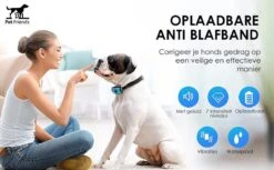 PetFriends Anti Blafband Zonder Schok - Gratis Hondenfluit - USB Oplaadbaar - Anti Blaf Apparaat - Opvoedingshalsband - Voor Grote En Kleine Honden -Honden Benodigdheden Verkoop 1200x742 2