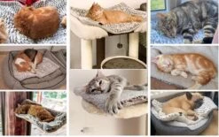 Merkloos Zelfverwarmende Dierendeken Zonder Stroom Thermo Deken Hond Kat Inclusief Adreslabel 70 X 47 Cm -Honden Benodigdheden Verkoop 1200x751 4