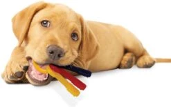 Nylabone Kauwbot - Puppy Kauwspeelgoed - Sleutels Met Baconsmaak - X-Small -Honden Benodigdheden Verkoop 1200x752 1